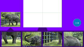 Động vật sống trong rừng