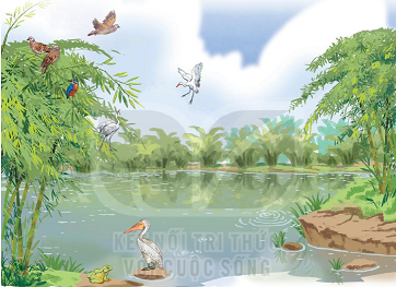 Bờ tre đón khách,, tiếng việt lớp 2 tập 2