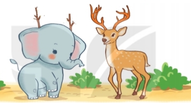 Bài 5: Em có xinh không