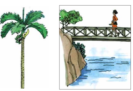 Bài 39: au-âu