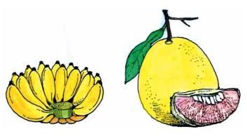 Bài 35: uôi - ươi