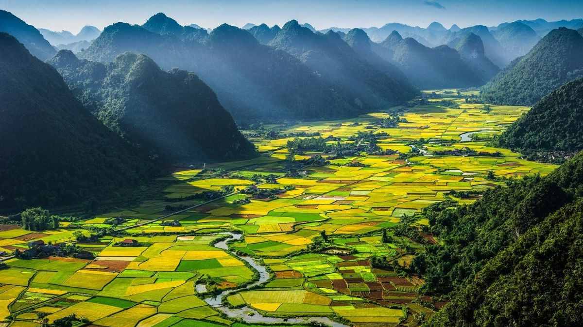 Hình 2. Quang cảnh đồi ở Việt Nam