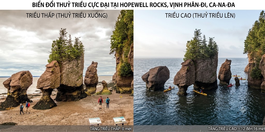 Hiện tượng thuỷ triều ở vịnh Phăn-đi (Ca-na-đa)