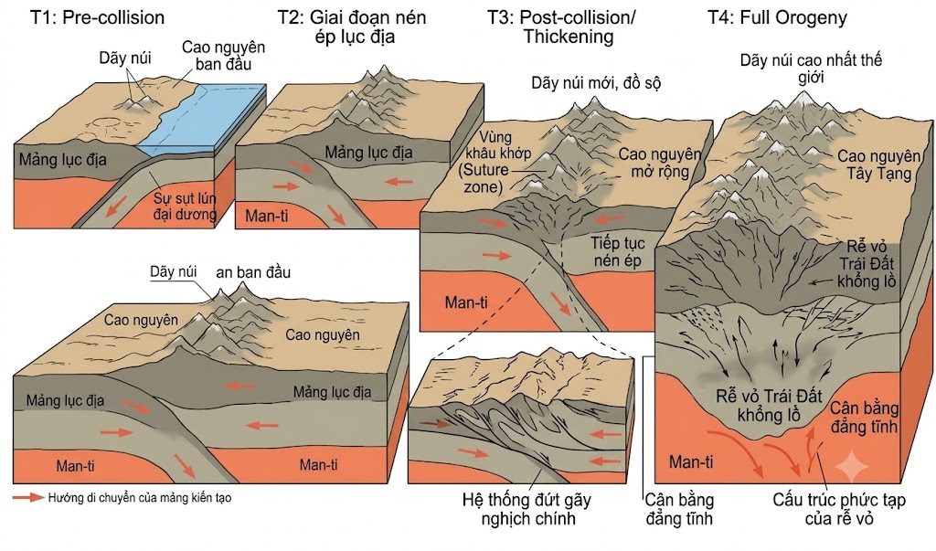 [Hình 5. Hiện tượng tạo núi do hai mảng kiến tạo xô vào nhau (Hình ảnh mô phỏng Mặt cắt cho thấy hai mảng lục địa trên lớp Man-ti xô vào nhau, làm lớp đất đá bị dồn ép nhô lên tạo thành Cao nguyên và Dãy núi)].