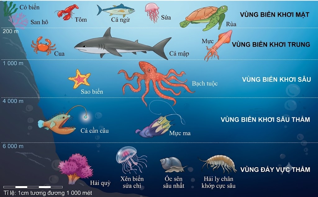 [Hình 1. Sinh vật dưới đại dương]