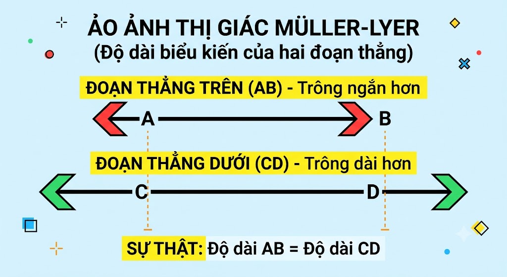 Hình minh họa ảo ảnh thị giác (Müller-Lyer illusion) gồm hai đoạn thẳng nằm ngang. Đoạn thẳng trên (AB) có hai mũi tên hướng vào trong ở hai đầu. Đoạn thẳng dưới (CD) có hai mũi tên hướng ra ngoài ở hai đầu.
