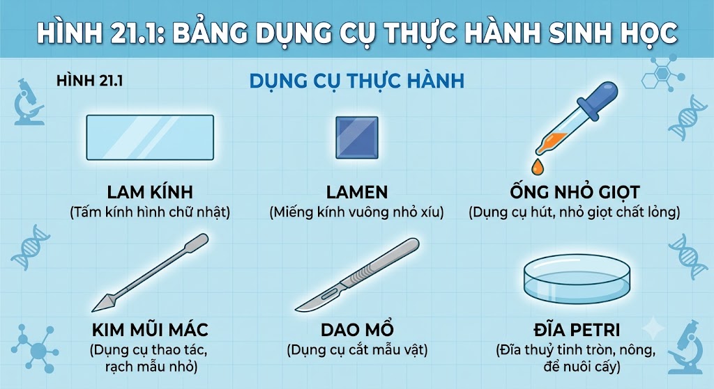 Hinh minh hoạ các dụng cụ thực hành. Gồm: Lam kính (tấm kính hình chữ nhật), Lamen (miếng kính vuông nhỏ xíu), Ống nhỏ giọt, Kim mũi mác, Dao mổ, và Đĩa petri (đĩa thuỷ tinh tròn, nông).