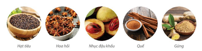 Một số sản phẩm gia vị chủ yếu ở Đông Nam Á  Hình ảnh này (hạt tiêu, hoa hồi, quế, gừng...) 