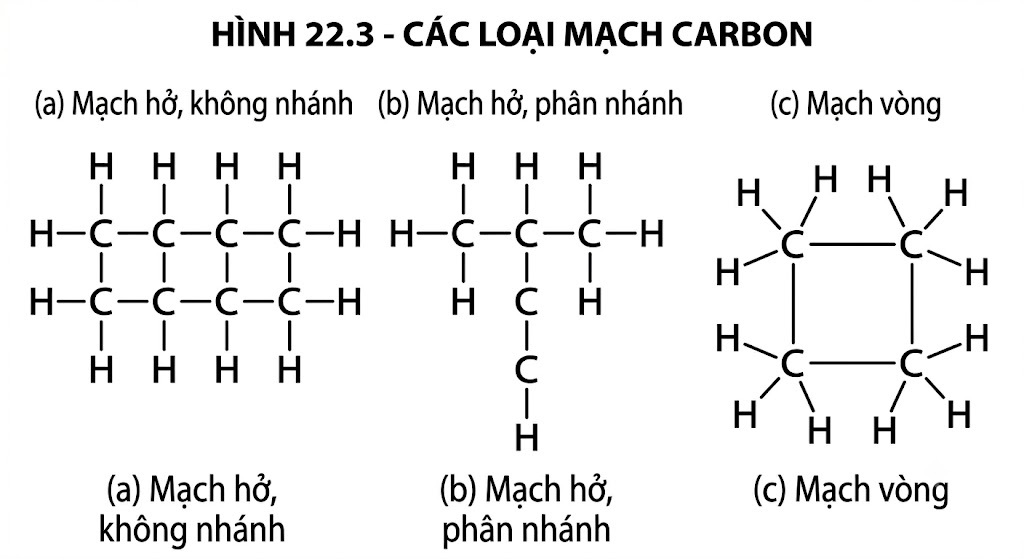 Hình 22.3 - Các loại mạch carbon