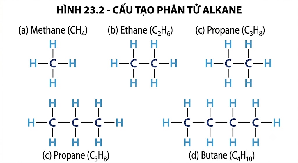 Bảng 23.1 - Cấu tạo phân tử Alkane