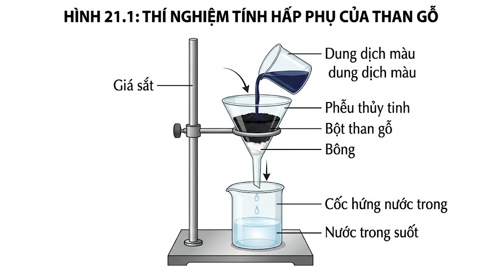 Hình 21.1 - Thí nghiệm tính hấp phụ của than gỗ