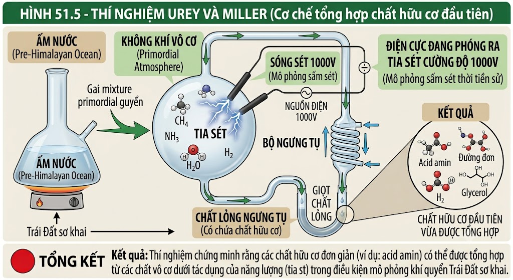 Hình 51.5 - Thí nghiệm Urey và Miller