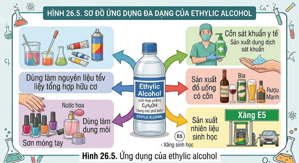 Hình 26.5 - Ứng dụng của ethylic alcohol
